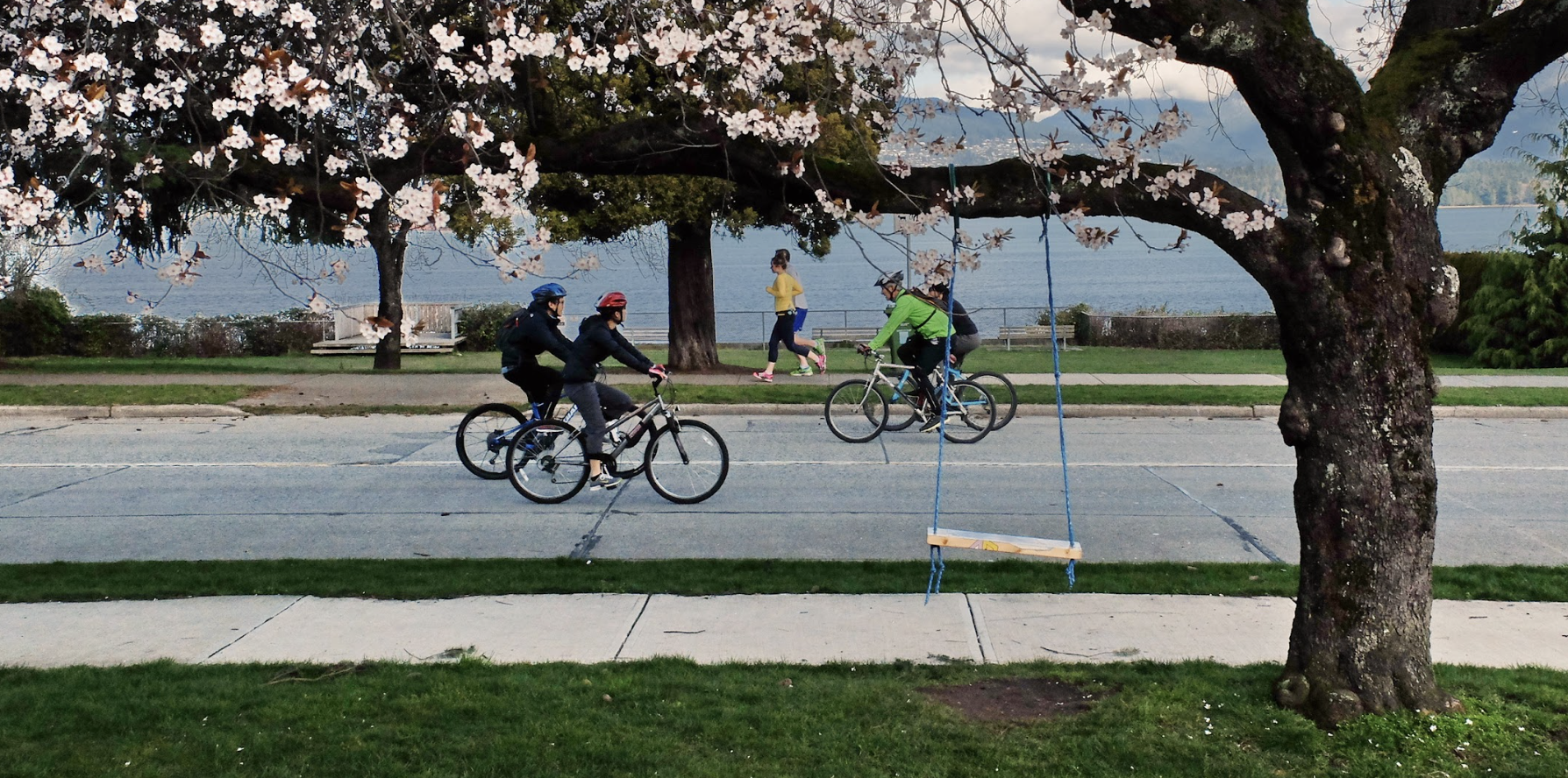 A group of cyclists wearing helmets rides along a tree-lined street next to the water, with cherry blossom branches framing the scene in the foreground. A person in a yellow shirt jogs on the sidewalk between the street and the waterfront. An empty swing with blue ropes hangs from a large tree on the right side of the image. The overall atmosphere is peaceful and active, with mountains visible in the distance.