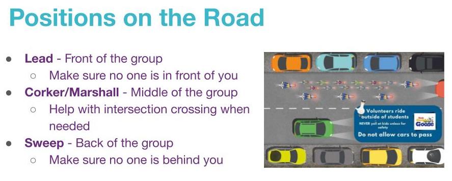 A slide that shows the three positions on the road during a bike bus ride. The Lead is at the front of the group and they make sure no one is in front of you. The Corker/Marshall is in the middle of the group. They help with intersection crossing when needed. The sweep is at the back of the group. They make sure no one is behind you.