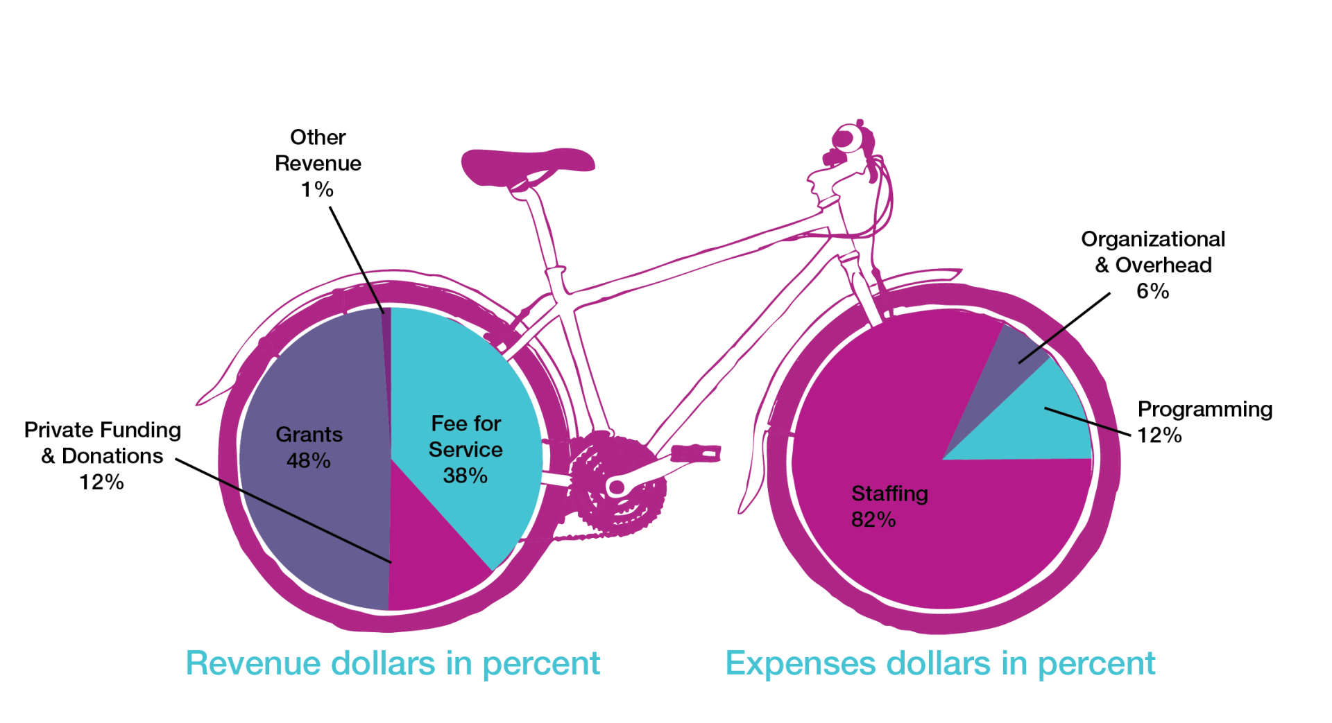 A bike graphic that compares HUB Cycling's revenue dollars in percent and expenses in percent. Each wheel contains a pie chart proposing these questions.