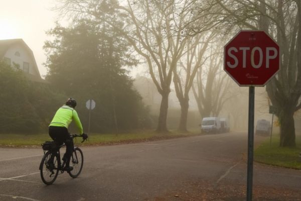 A person cycling along a quiet, foggy residential street approaches an intersection with a clearly visible stop sign. Tall trees line the road, and parked vehicles and houses appear in the mist.